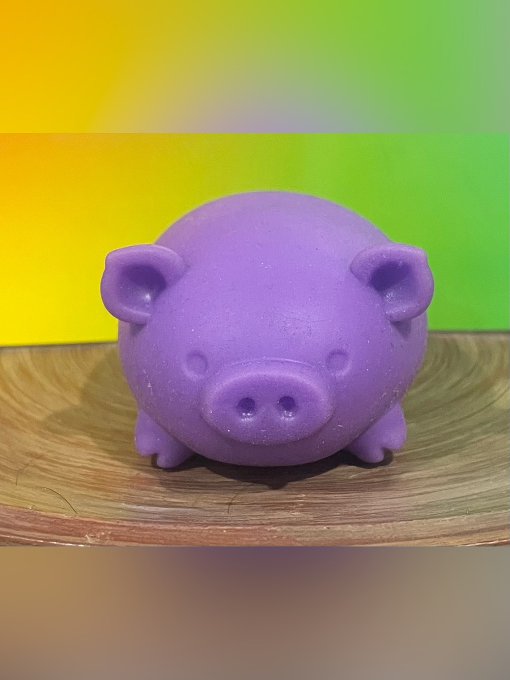 NeeDoh Dig It Pig